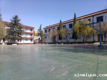 孩子受欺负，家长如何巧妙应对？这样处理最明智！