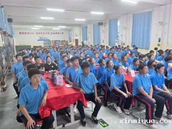 青春期的独立渴望：心理学视角下的解读与应对策略