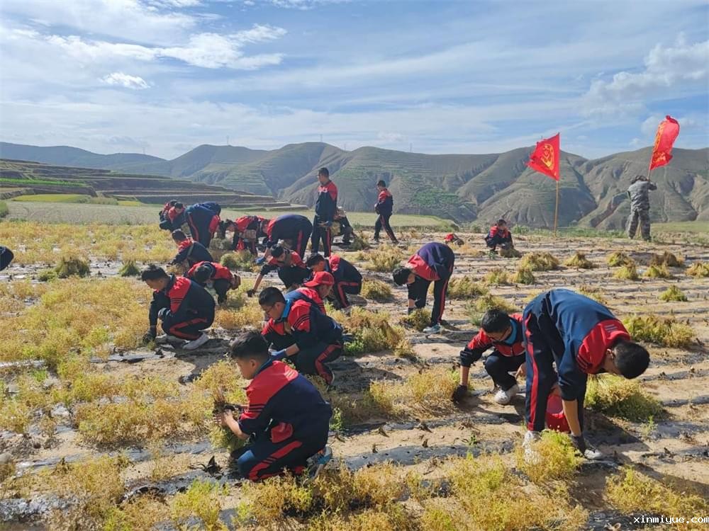 青少年吃苦夏令营：一对一辅导，助力孩子全方位成长_www.xinmiyue.com