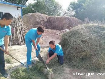 吃苦磨炼山村夏令营：现代青少年不可或缺的成长课堂