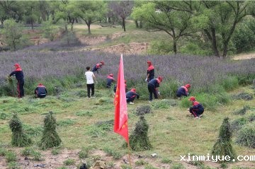 心手相连，共绘青春篇章——必威betway中文官网2024年山村磨练夏令营纪实