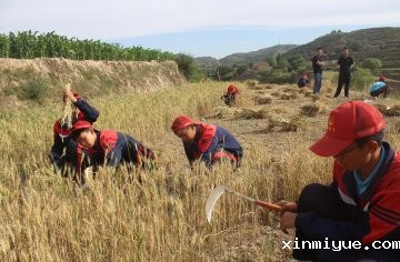 贫困山村夏令营：点燃希望之光，见证心灵与梦想的非凡成长之旅