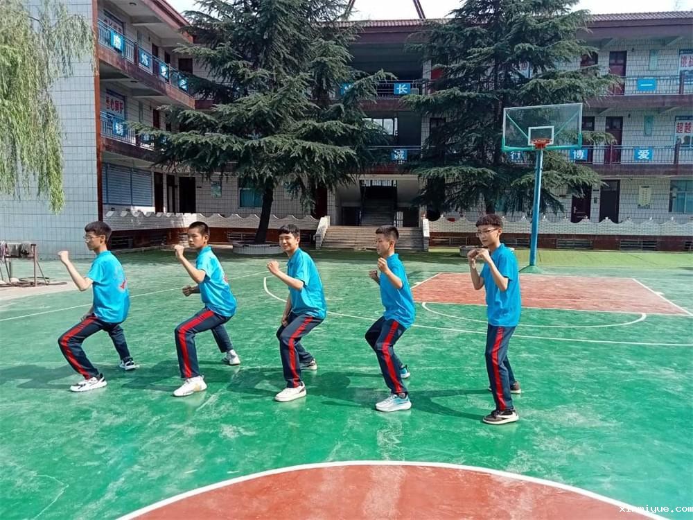 从“休学”到“返校”：一场关于理解与支持的温柔旅程_www.xinmiyue.com