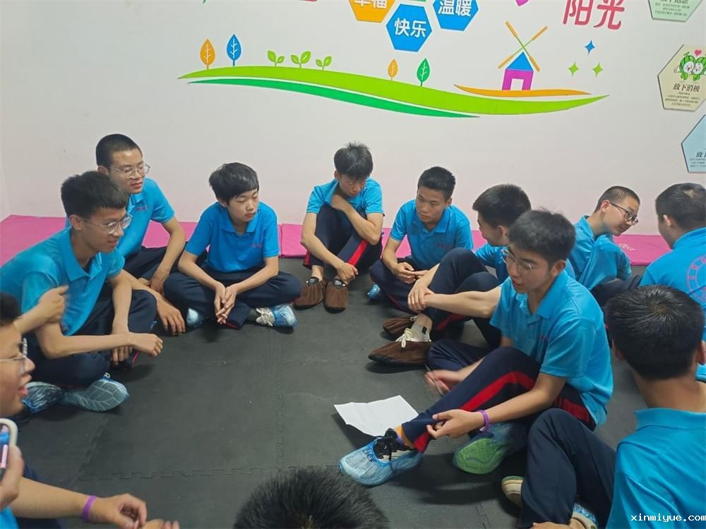 青春的色彩盘：心理健康的青少年如何绘制乐观篇章_www.xinmiyue.com