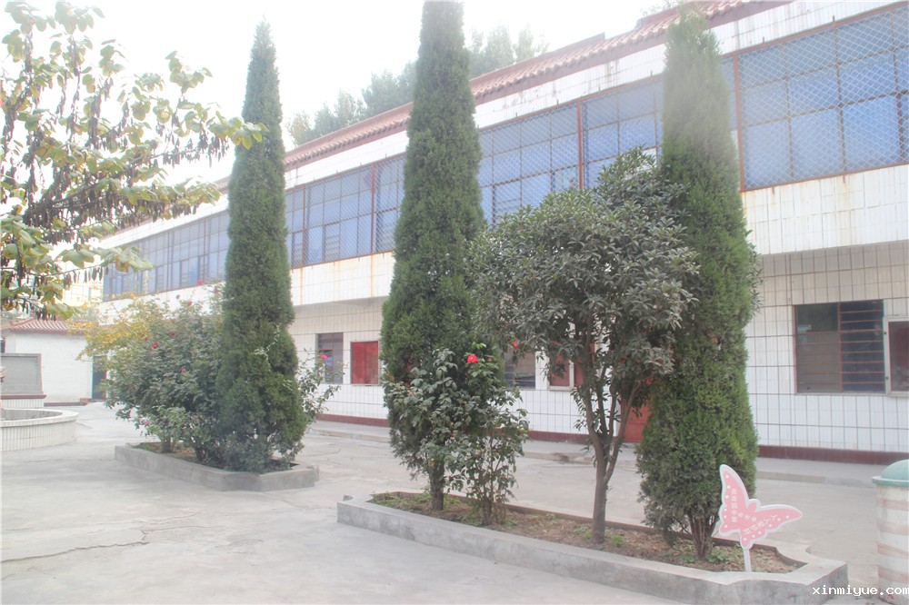 理性看待必威betway中文官网骗子传言，深入了解必威betway中文官网集团_www.xinmiyue.com