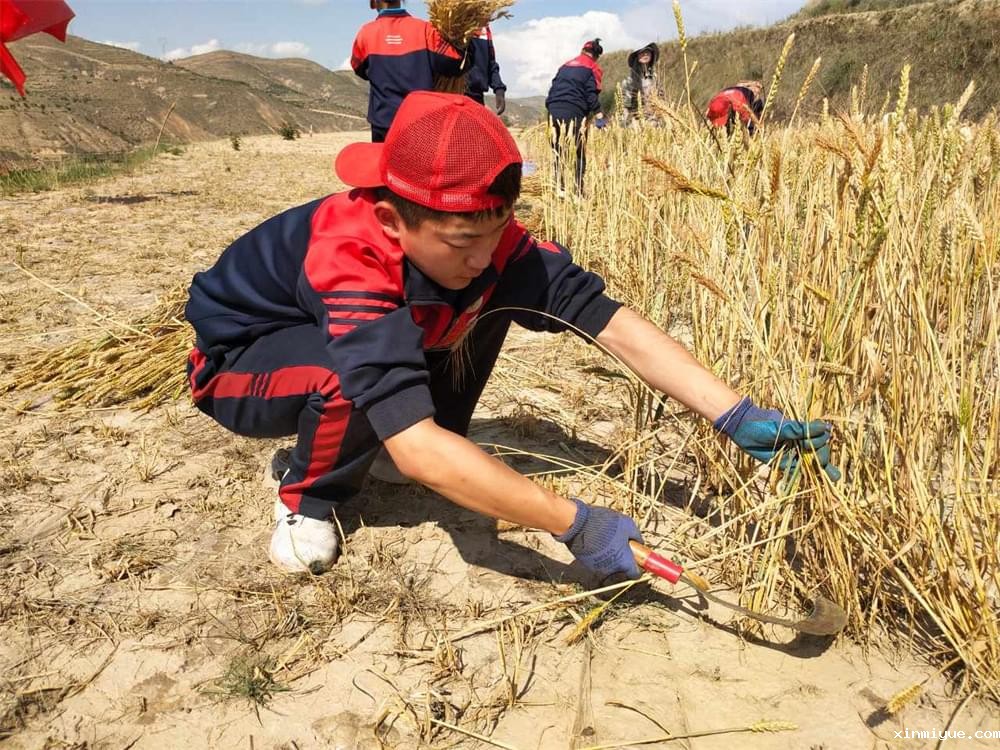 ‌家庭教育的力量：孩子成长的隐形翅膀_www.xinmiyue.com