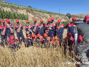 三把钥匙在手，激发孩子学习内驱力不再是难题！