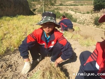 ‌教育青春期的孩子：避免“太较真儿”的智慧‌