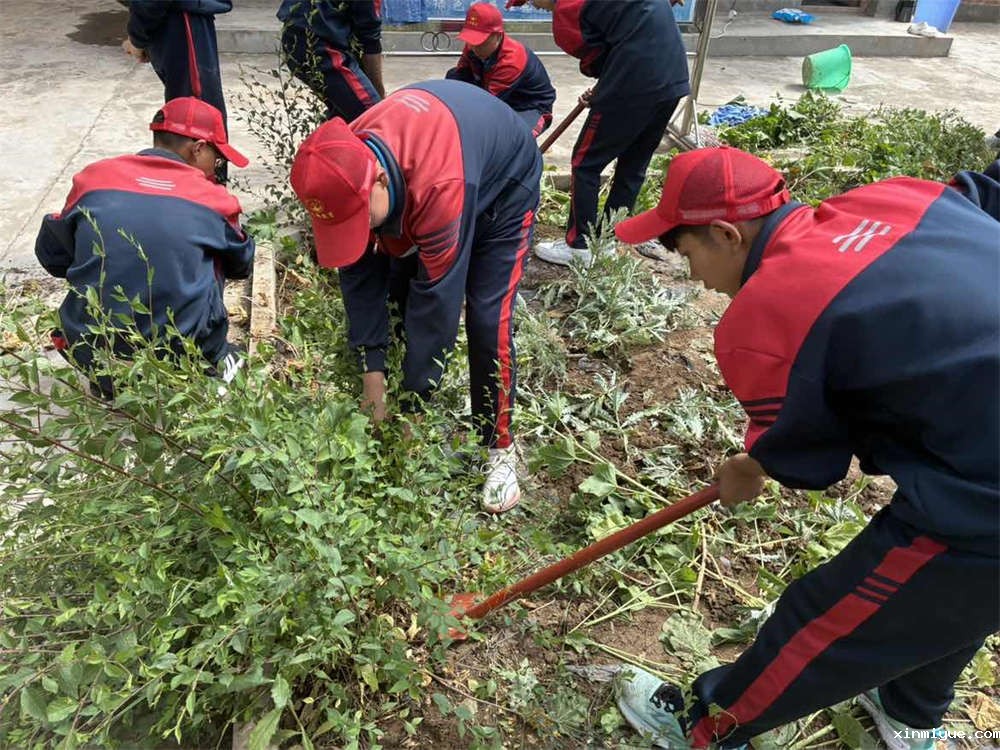 我心中的田园诗篇：农村生活向往与夏令营的契合_www.xinmiyue.com