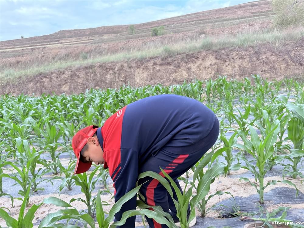 贫困山村磨炼夏令营：心灵的洗礼，未来的绽放_www.xinmiyue.com