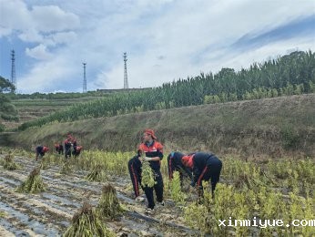 深入山区，探索自然与成长——“山区变形计”夏令营纪实
