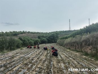 暑期夏令营新风尚：山村牧马放羊，亲近自然之旅，让孩子在快乐中成长进步