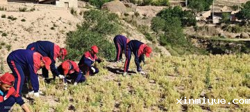 贫困山村夏令营：城市少年的蜕变加速器，效果立竿见影