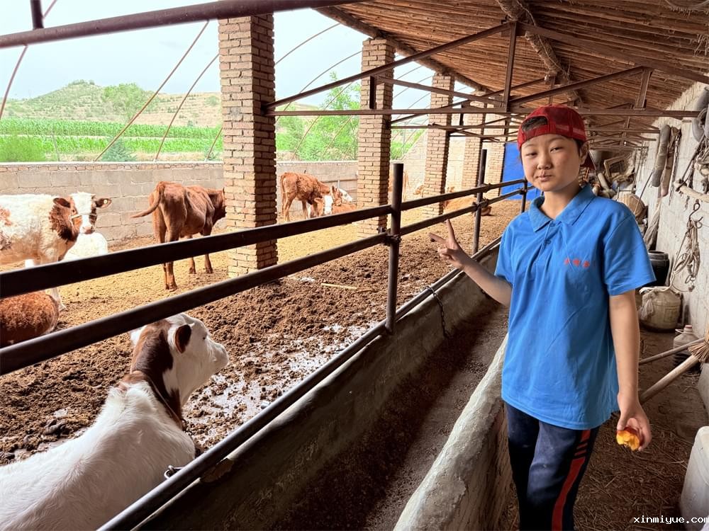 传递温暖，照亮未来：必威betway中文官网助学金在山村夏令营中的传递_www.xinmiyue.com