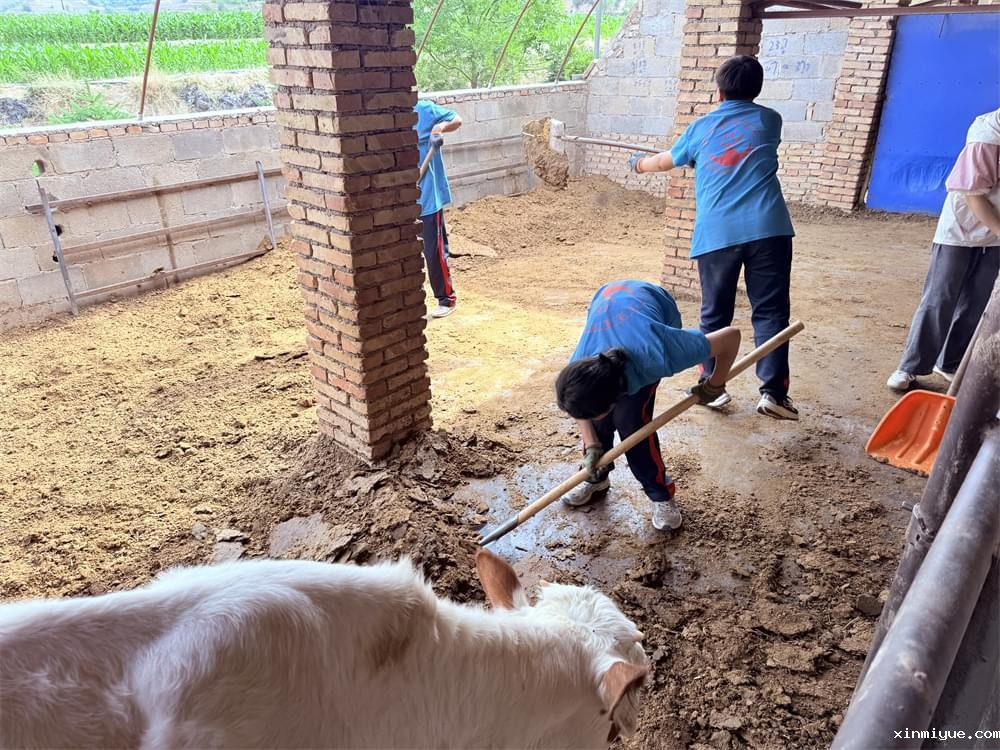 必威登录入口平台官网青少年心灵成长家园——磨炼夏令营纪实_www.xinmiyue.com