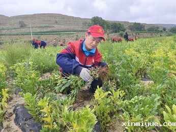 必威登录入口平台官网夏令营：生活不易？不，这里满是美好与成长！