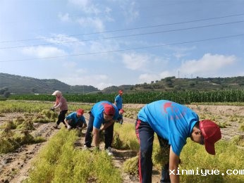 暑期贫困山村夏令营的宝贵经历：照亮前行之路