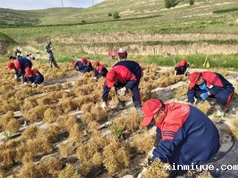 ‌贫困山村磨炼夏令营：一次心灵的触碰与成长的火花